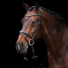 Produktbild von HV Polo Legacy Trense aus Leder für Ponys in Schwarz