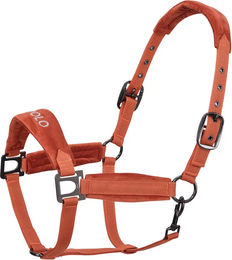 HV Polo Luxury Pferdehalfter aus Nylon in Pumpkin für Warmblut Pferde – Bild 1 von 1