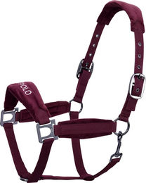 HV Polo Luxury Pferdehalfter aus Nylon in Wine für Vollblut Pferde – Bild 1 von 1