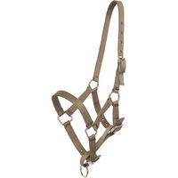 Produktbild von HV Polo Nena Pferdehalfter für Fohlen aus Nylon in Beige