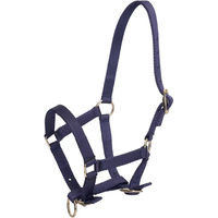 Produktbild von HV Polo Nena Pferdehalfter für Fohlen aus Nylon in Blau
