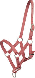 Produktbild von HV Polo Nena Pferdehalfter für Fohlen aus Nylon in Rosa
