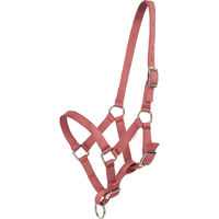 Produktbild von HV Polo Nena Pferdehalfter für Fohlen aus Nylon in Rosa