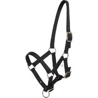 Produktbild von HV Polo Nena Pferdehalfter für Fohlen aus Nylon in Schwarz