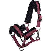 Produktbild von HV Polo Nylon Halfter für Pferde Sacha