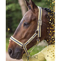 Produktbild von HV Polo Pferde Halfter HVPClassic Stripe aus Polyester in Gelb Bunt