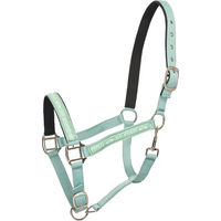 Produktbild von HV Polo Pferdehalfter Nena in Aqua Sky Größe X-Full