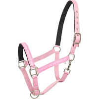 Produktbild von HV Polo Pferdehalfter Nena Pretty Pink Größe X-Full