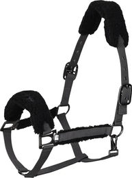 HV Polo Pferdehalfter Teddy – Bild 1 von 1