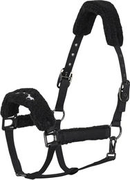 HV Polo Pferdehalfter Teddy – Bild 1 von 1