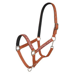 Produktbild von HV Polo Pony Halfter Nena in Braun und Orange