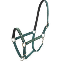 Produktbild von HV Polo Pony Halfter Nena in Mineral