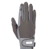 Produktbild von HV Polo Reithandschuhe Darent Frost Grey Leder Damen Sommer Grau