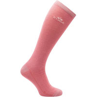 Produktbild von HV Polo Reitsocken für Damen in Silber und Rosa Größe 39/42