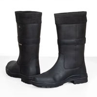 Produktbild von HV Polo Reitstiefel Damen aus Leder Schwarz Größe 41