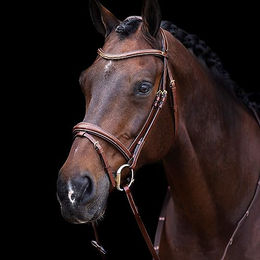HV Polo Reittrense Legacy Kombiniertes Reithalfter aus Leder für Ponys in Braun – Bild 1 von 2