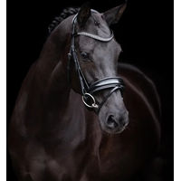 Produktbild von HV Polo Reitzeug Diana