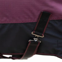 Produktbild von HV Polo Sacha Outdoor-Decke für Pferde 0g
