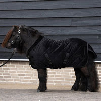 Produktbild von HV Polo Sacha Stalldecke 0g für Ponys und Shettys in Größe 125 Schwarz
