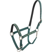 Produktbild von HV Polo Shetty Halfter aus Neopren in Grün