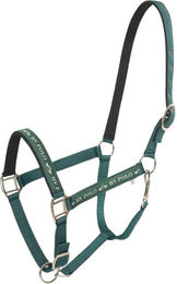 HV Polo Shetty Halfter Nena in Mineral Größe Shetty – Bild 1 von 1