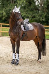 Produktbild von HV Polo Springschabracke Skye Titanium Grau aus Polyester