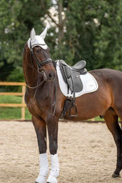Produktbild von HV Polo Springschabracke Skye White aus Polyester