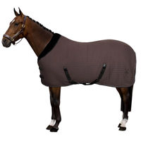 Produktbild von HV Polo Stalldecke Franka für Pferde in Taupe Beige Braun aus Polyester