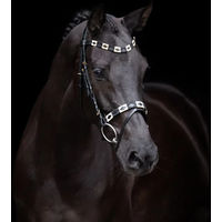 Produktbild von HV Polo Trense Chaya Schwarz-Gold für Warmblut Pferde