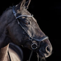 Produktbild von HV Polo Trense Legacy Anatomisch Deluxe aus Leder in Schwarz