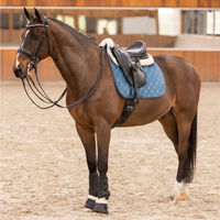 Produktbild von HV Polo Vielseitigkeitsschabracke Chavelle Deep Sea Blue