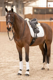 Produktbild von HV Polo Vielseitigkeitsschabracke Chavelle Grey