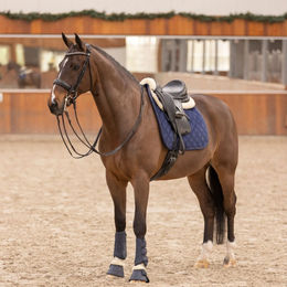 Produktbild von HV Polo Vielseitigkeitsschabracke Chavelle Navy Blau