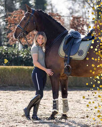 HV Polo Vielseitigkeitsschabracke HVPBeau Green aus Polyester – Bild 1 von 1