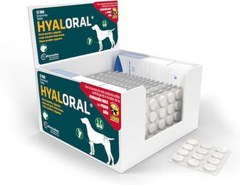 Hyaloral Gelenk-Supplement für große und sehr große Hunde Adult 360 Tabletten – Bild 1 von 1