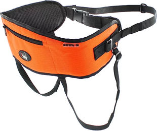 Produktbild von I-DOG Canicross One Gamme Sportgeschirr für Hunde mit Karabiner in Orange