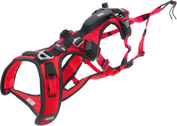 I-DOG Confort Trek Hundegeschirr für Sport und Freizeit Rot Größe L – Bild 1 von 7