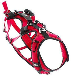 I-DOG Confort Trek Sportgeschirr für Hunde in Rot Größe S – Bild 1 von 2