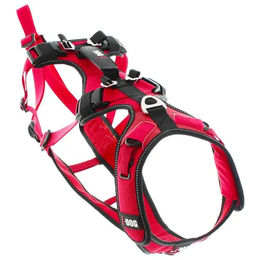 I-Dog Hundegeschirr Komfort Trek Sportgeschirr Rot Größe M – Bild 1 von 9