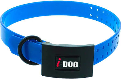 I-DOG Premium Hundehalsband aus Kunststoff in Blau – Bild 1 von 2
