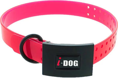 I-DOG Premium Hundehalsband aus Kunststoff in Rosa – Bild 1 von 7