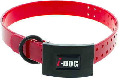 I-DOG Premium Hundehalsband aus Kunststoff in Rot – Bild 1 von 6
