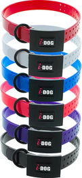 I-DOG Premium Hundehalsband aus Kunststoff in Schwarz – Bild 1 von 4