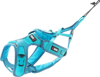 I-DOG X-Back Phoenix ALM Verstellbares Canicross Sportgeschirr für Hunde Blau Größe L – Bild 1 von 3