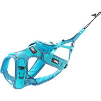 Produktbild von I-DOG X-Back Phoenix ALM Verstellbares Canicross Sportgeschirr für Hunde Blau Größe L