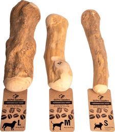 I&I Pet Supplies Kaffeebaum Kauwurzel Naturkauartikel aus Holz Größe M Braun – Bild 1 von 3