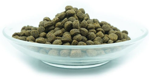 I love my cat Getreidefreies Trockenfutter für Katzen Adult mit Insekten und Lachs 1,2 kg - 1,2 kg – Bild 1 von 6