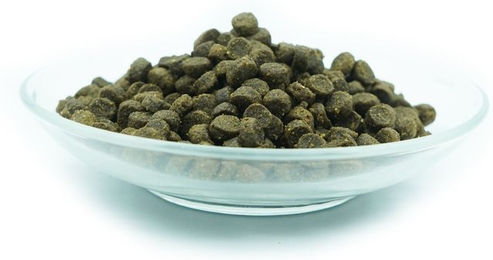 I Love My Cat Getreidefreies Trockenfutter für Katzen Adult mit Lachs 1,2 kg - 1,2 kg – Bild 1 von 5