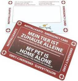 I love my cat Notfallkarte – Bild 1 von 3
