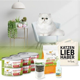 Produktbild von I Love my Cat Sparset für Perserkatze mit Insektenprotein Nass- und Trockenfutter - 6 x 100 g